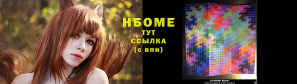 молекула духа Арсеньев