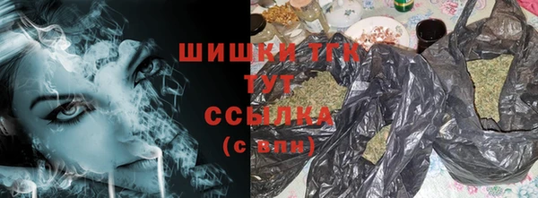 молекула духа Арсеньев