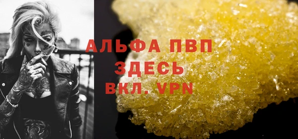 молекула духа Арсеньев