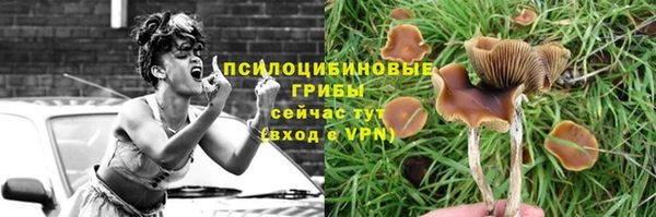 apvp Аркадак