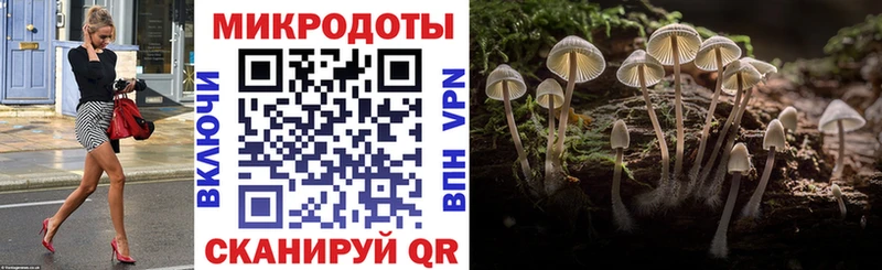Галлюциногенные грибы Magic Shrooms  Тавда 